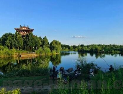 国产乱人伦av麻豆网-探索国产电影的多样性与文化价值，多方面看国产乱人伦AV网